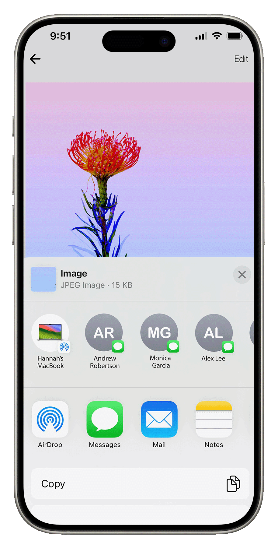 iPhone share interface