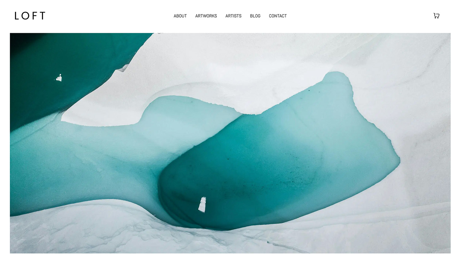 Website Preview